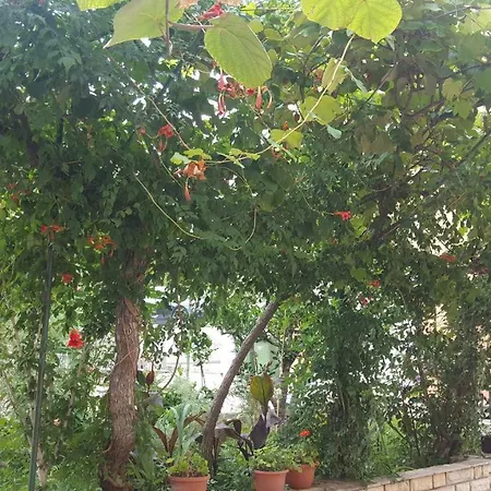 Ivanov Apartman Zára