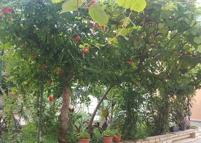 Ivanov דירה זאדאר